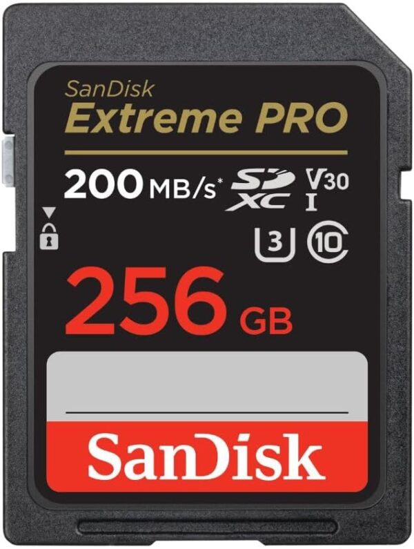 superior performance and ample storage a review of the sandisk 256gb